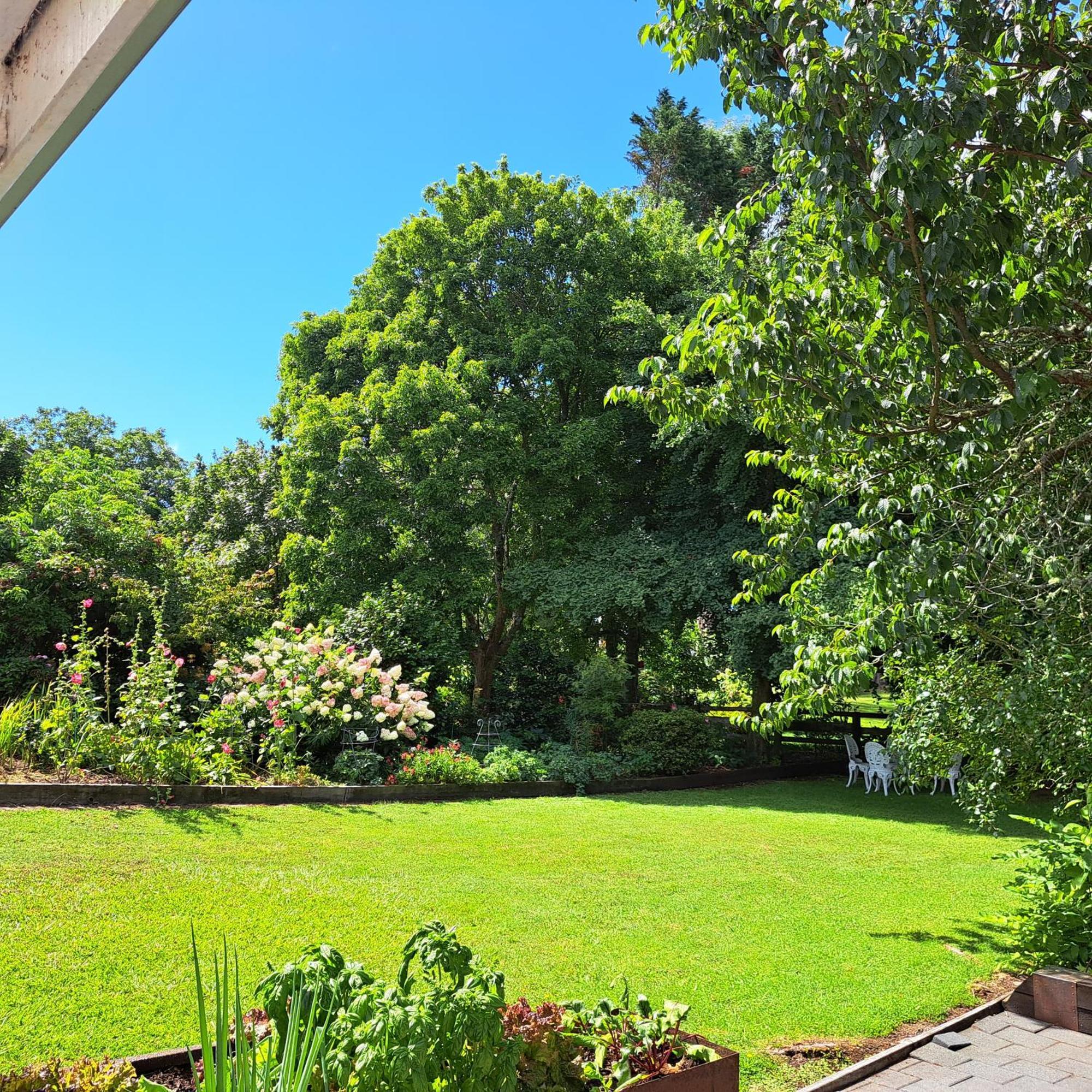The Homestead Taupo Exterior foto
